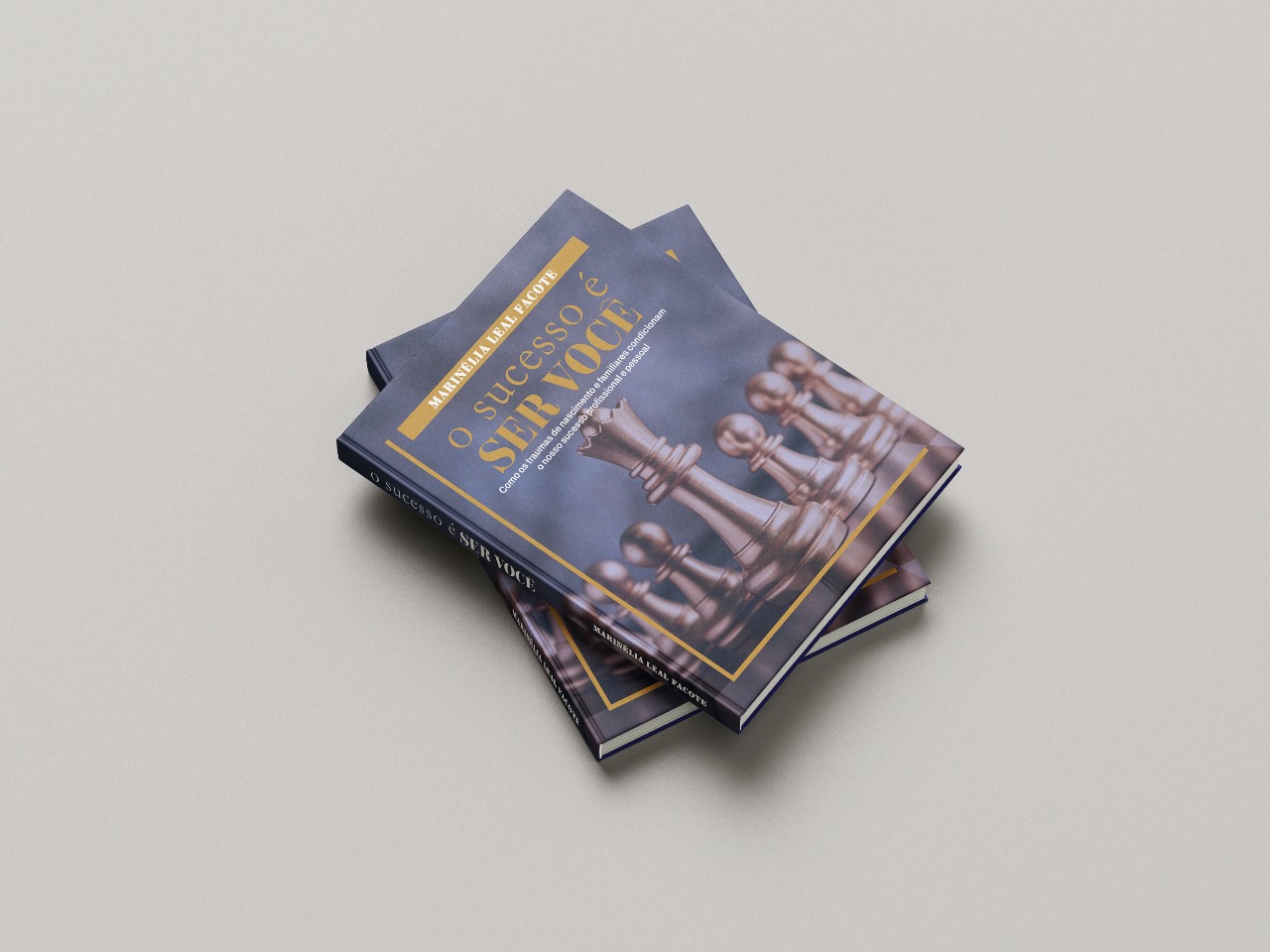 Exemplares empilhados do livro O Sucesso é SER VOCÊ